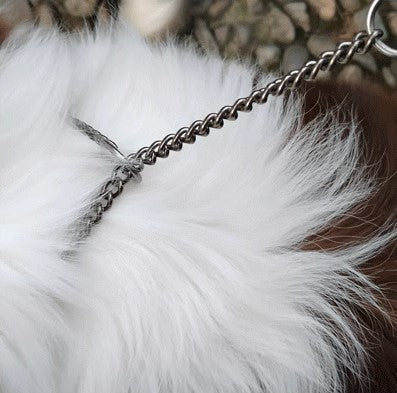 Titanium Dog Chain Collar